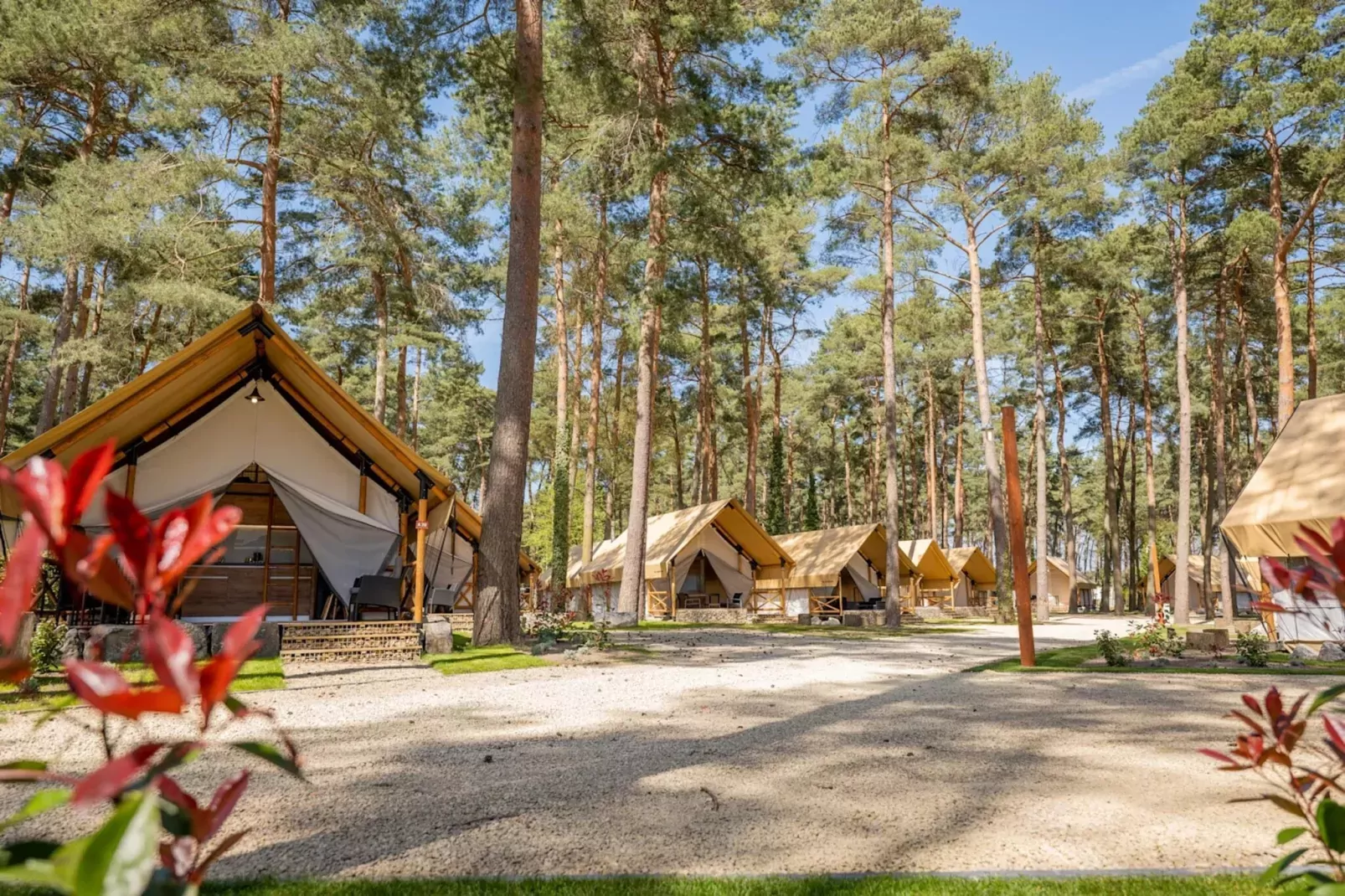 Resort Hoge Kempen 14-Areas summer 1km