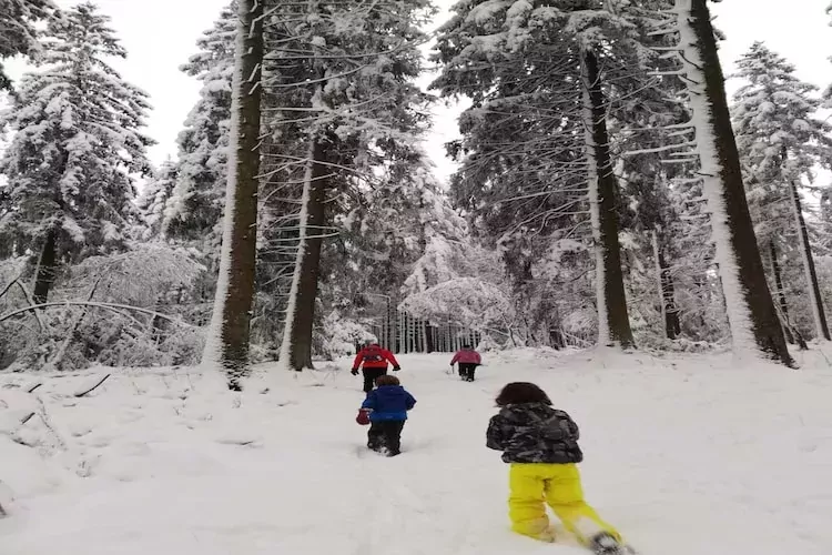 Haus Hunnenberg 2-Area winter 20km