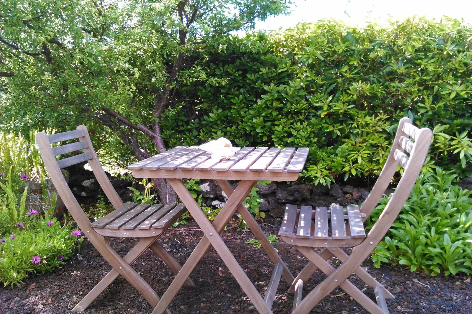 Holiday home in Praínha - Pico - Azores / Casa da Adega-Gardens summer