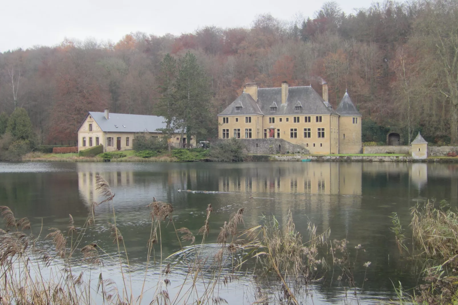 Le relais d'Orval-Areas summer 5km