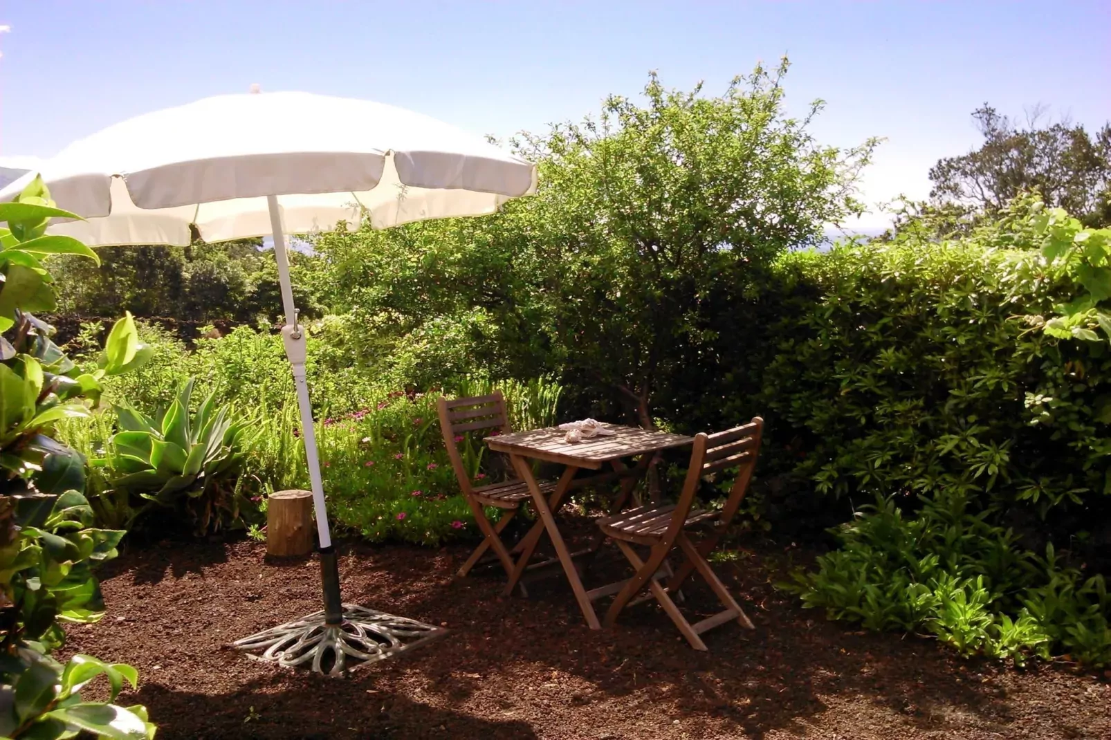 Holiday home in Praínha - Pico - Azores / Casa da Adega-Gardens summer