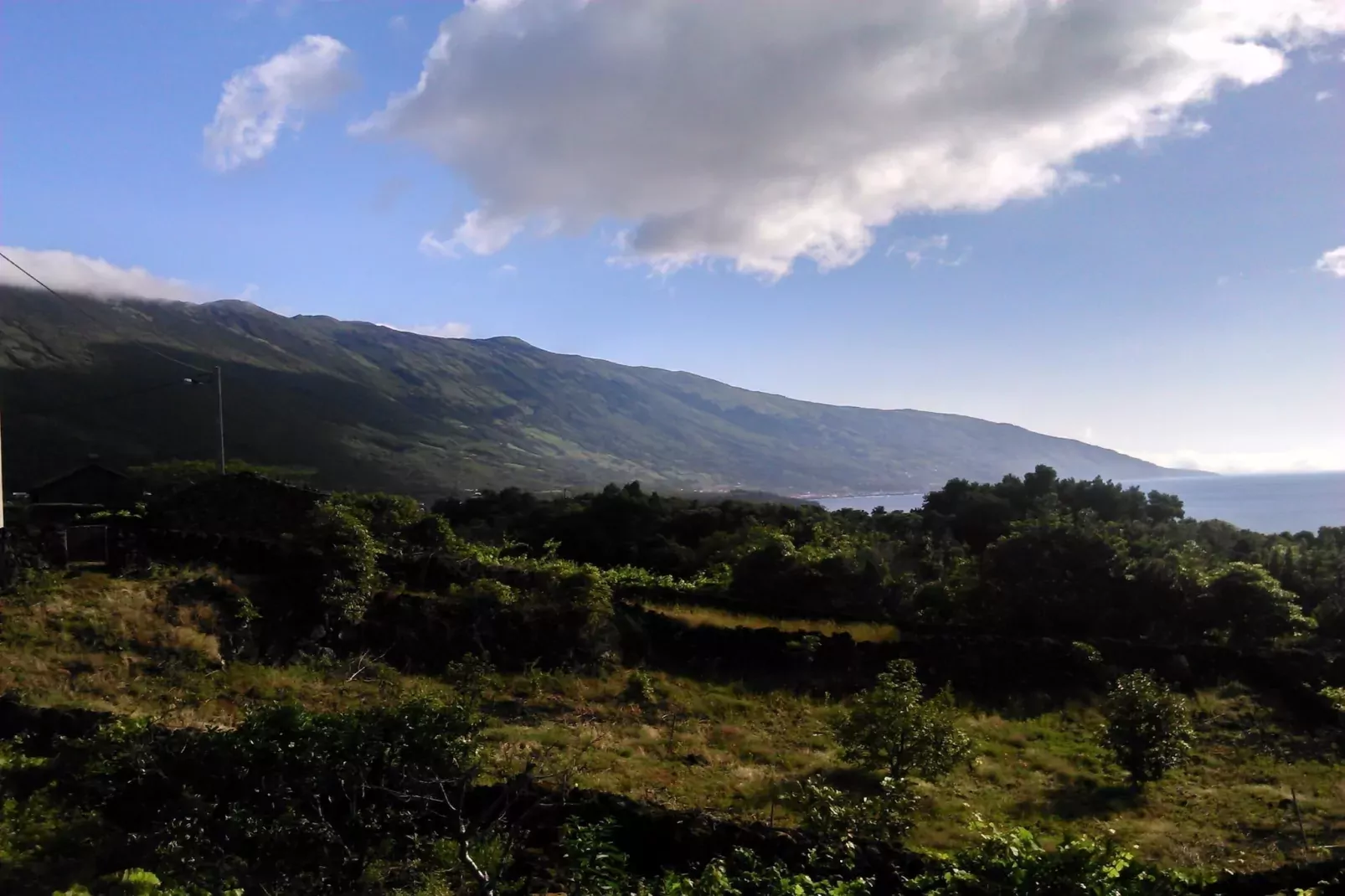 Holiday home in Praínha - Pico - Azores / Casa da Adega-Areas summer 5km