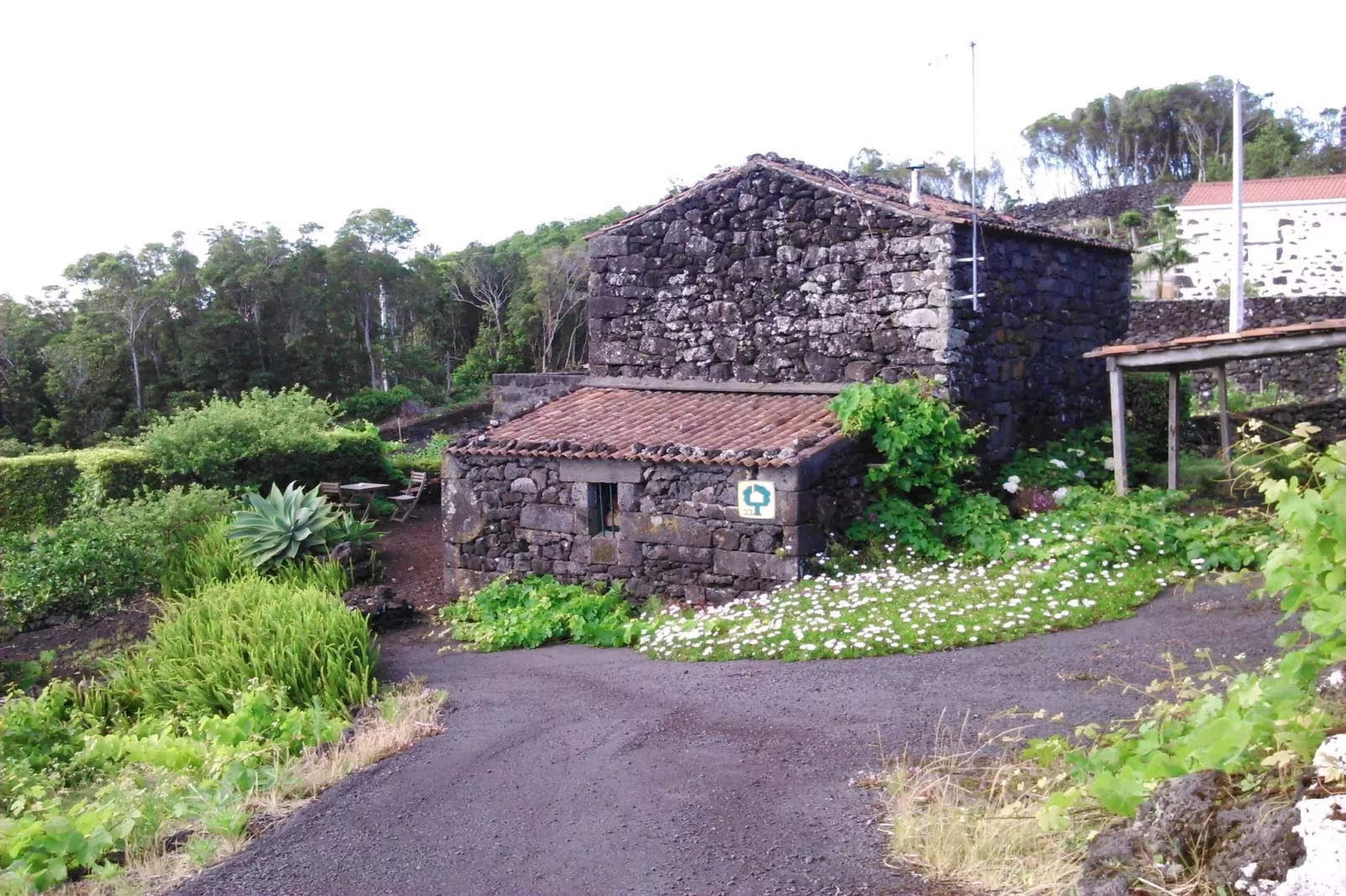 Holiday home in Praínha - Pico - Azores / Casa da Adega-Exterior summer