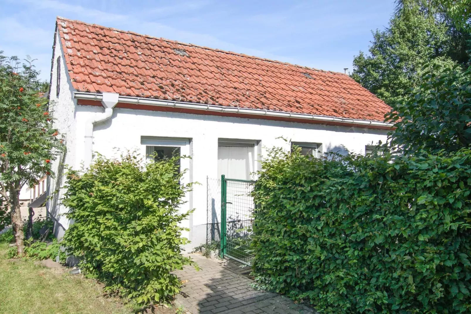 Ferienhaus Gänseblümchen-Extérieur été