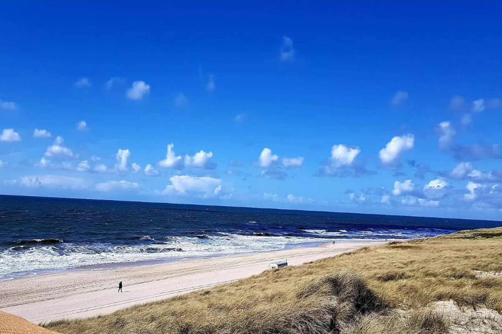 Ferienhaus Min Kaat-Areas summer 5km