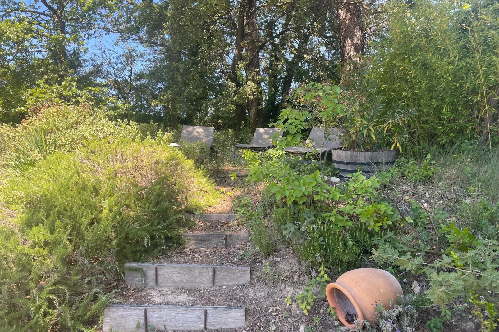 Villa Matteo-Gardens summer