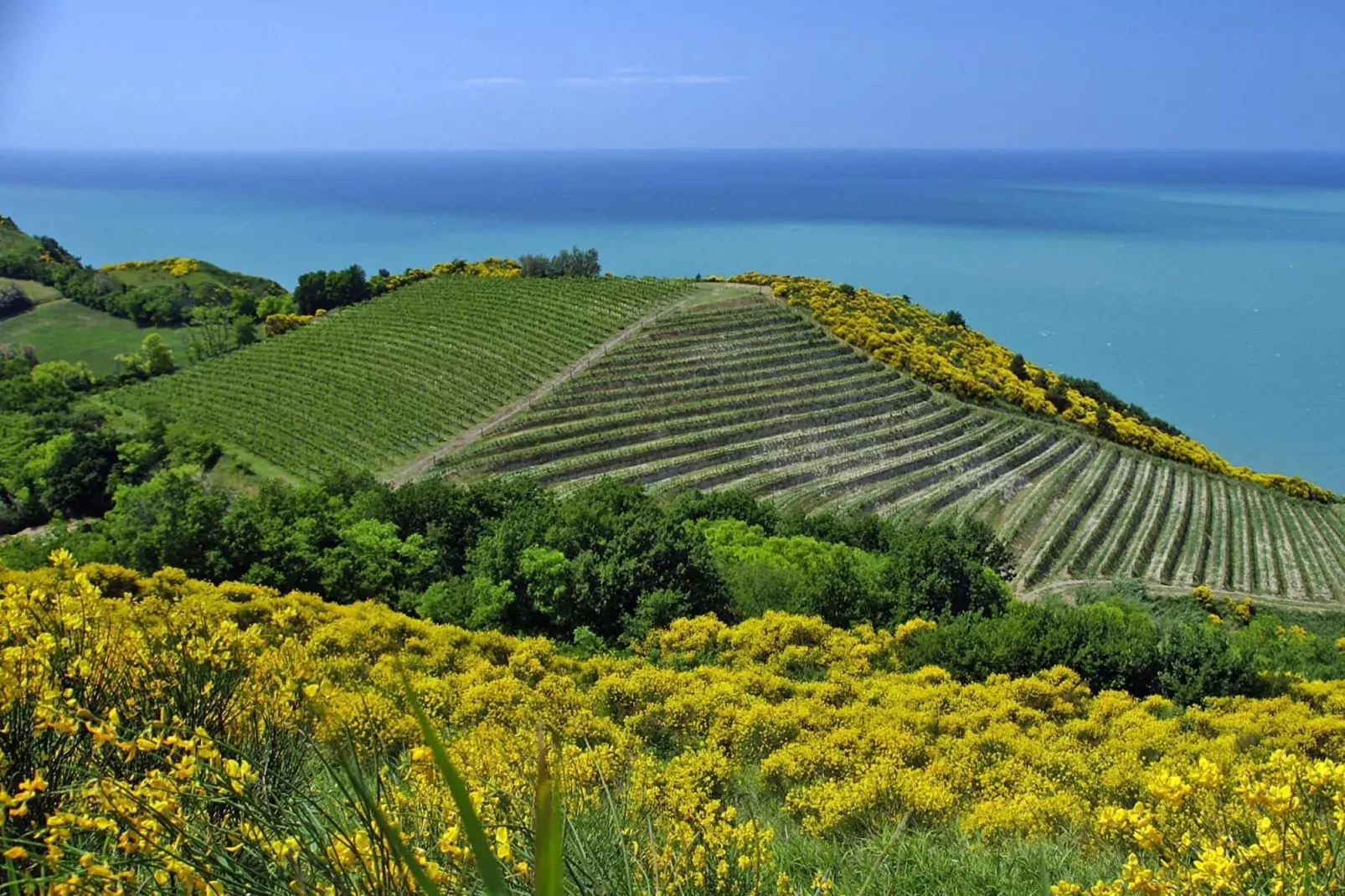 Holiday resort Casa Mare Vallugola die Gabicce, Vallugola-App. 2, Tipo 4-Areas summer 1km
