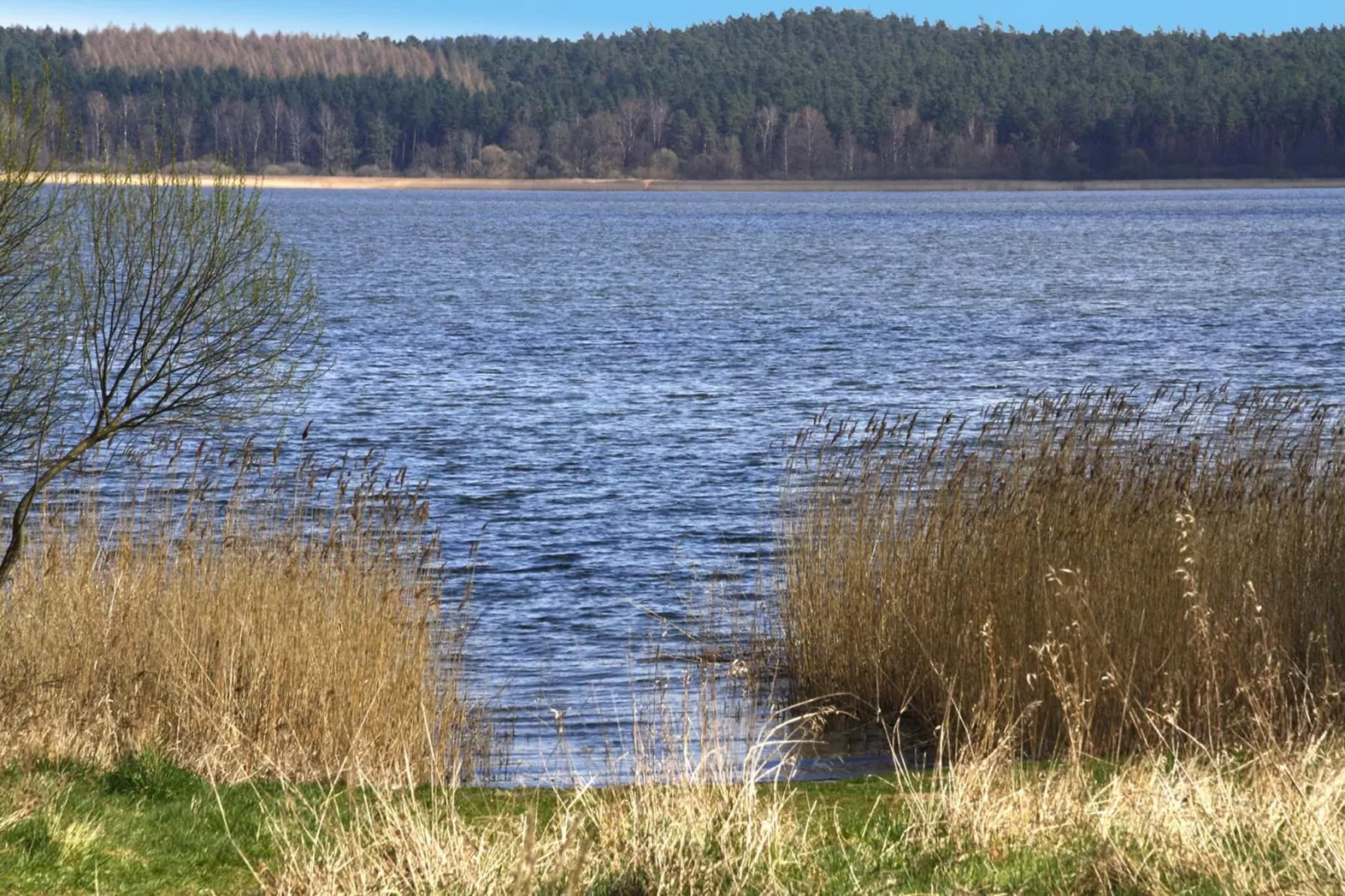 Ferienhaus An de Linn-Areas summer 1km
