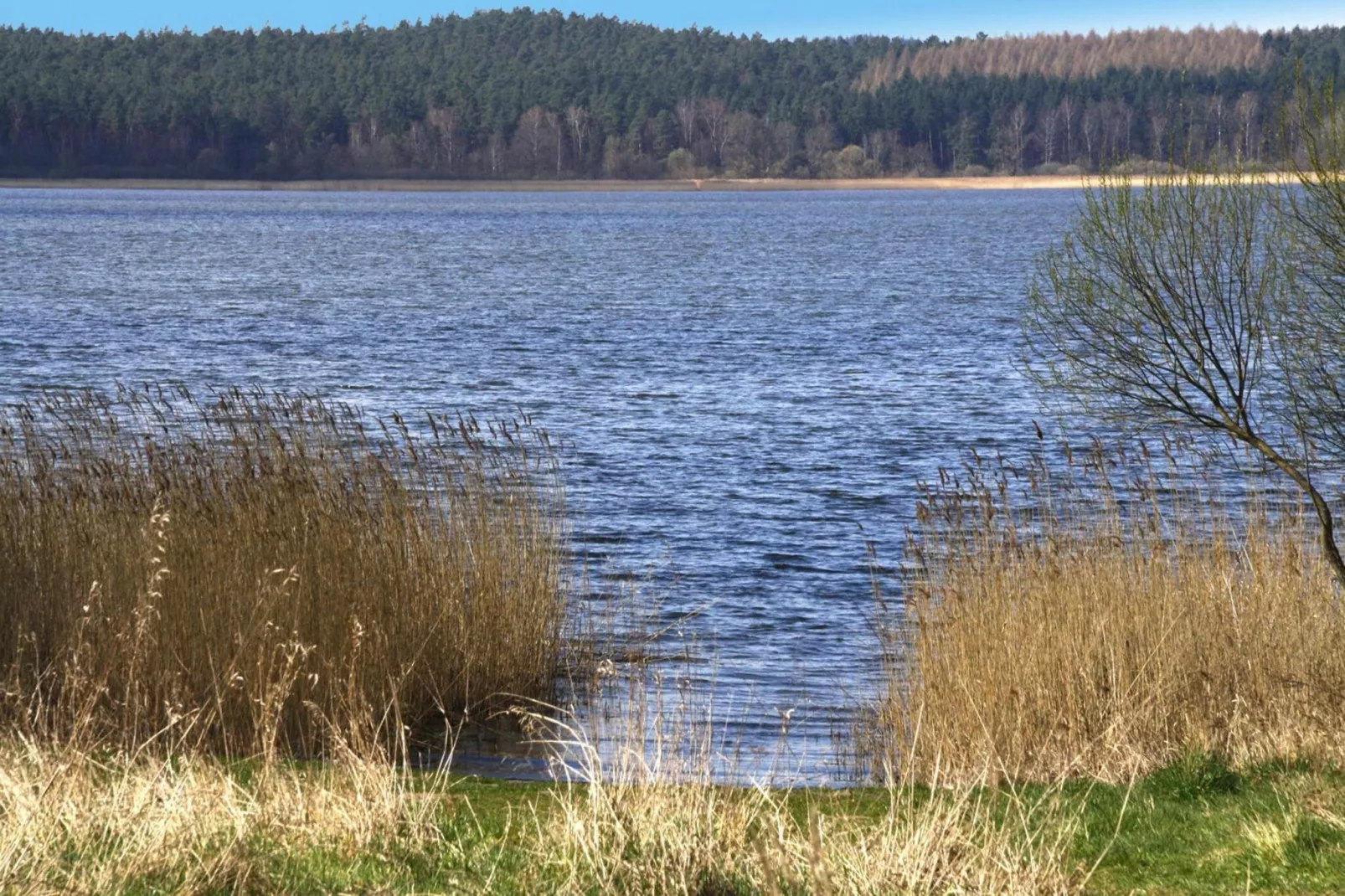 Ferienhaus An de Linn-Areas summer 5km