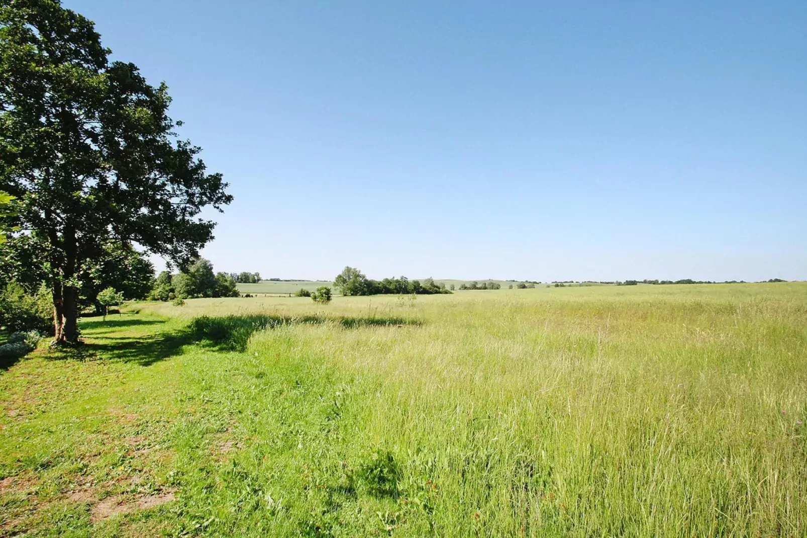 Fewo 50 qm-Areas within 1km in summer