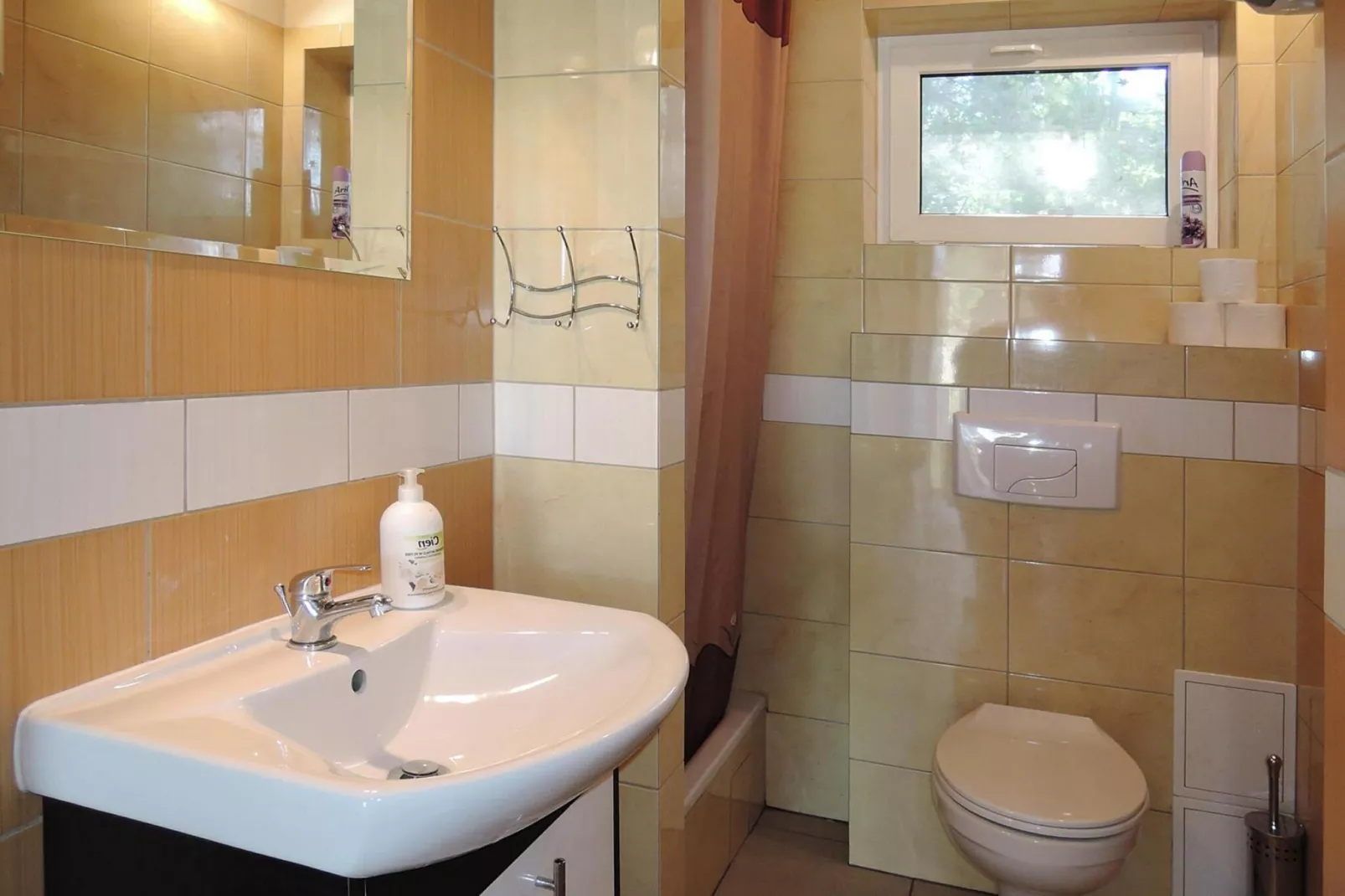 Holiday complex in Jezierzyce by Szczecin at the lake for 4 persons 30 qm Typ B Zielony-Badezimmer