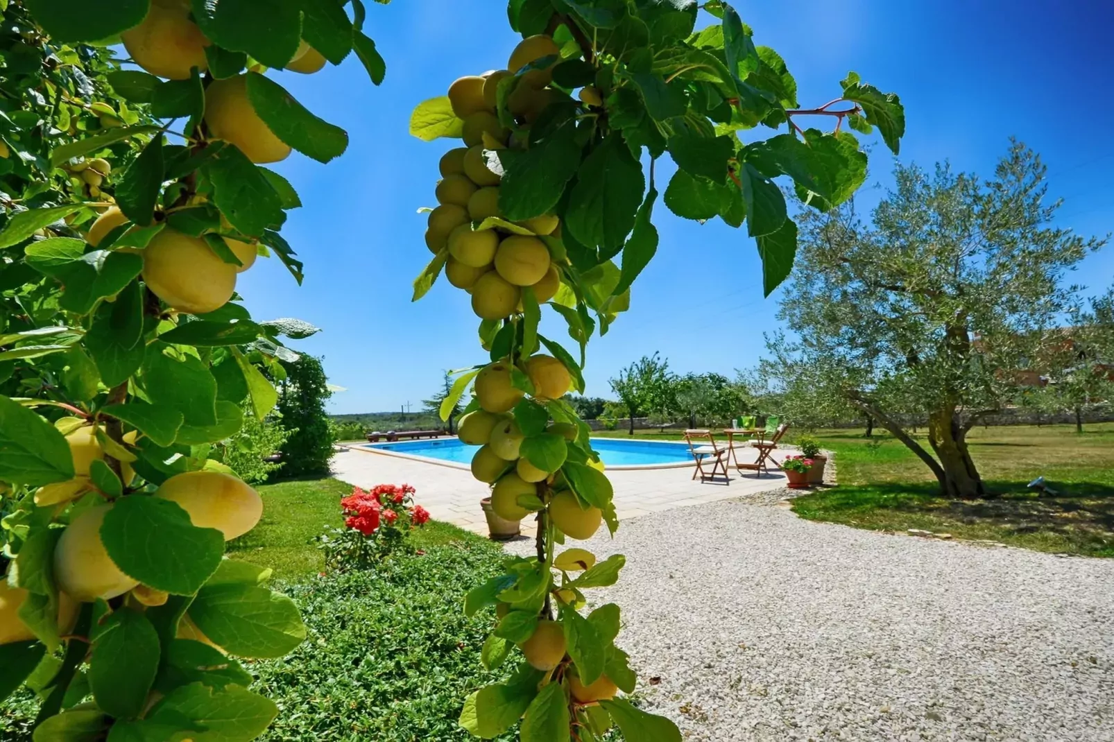Villa Benka-Pool
