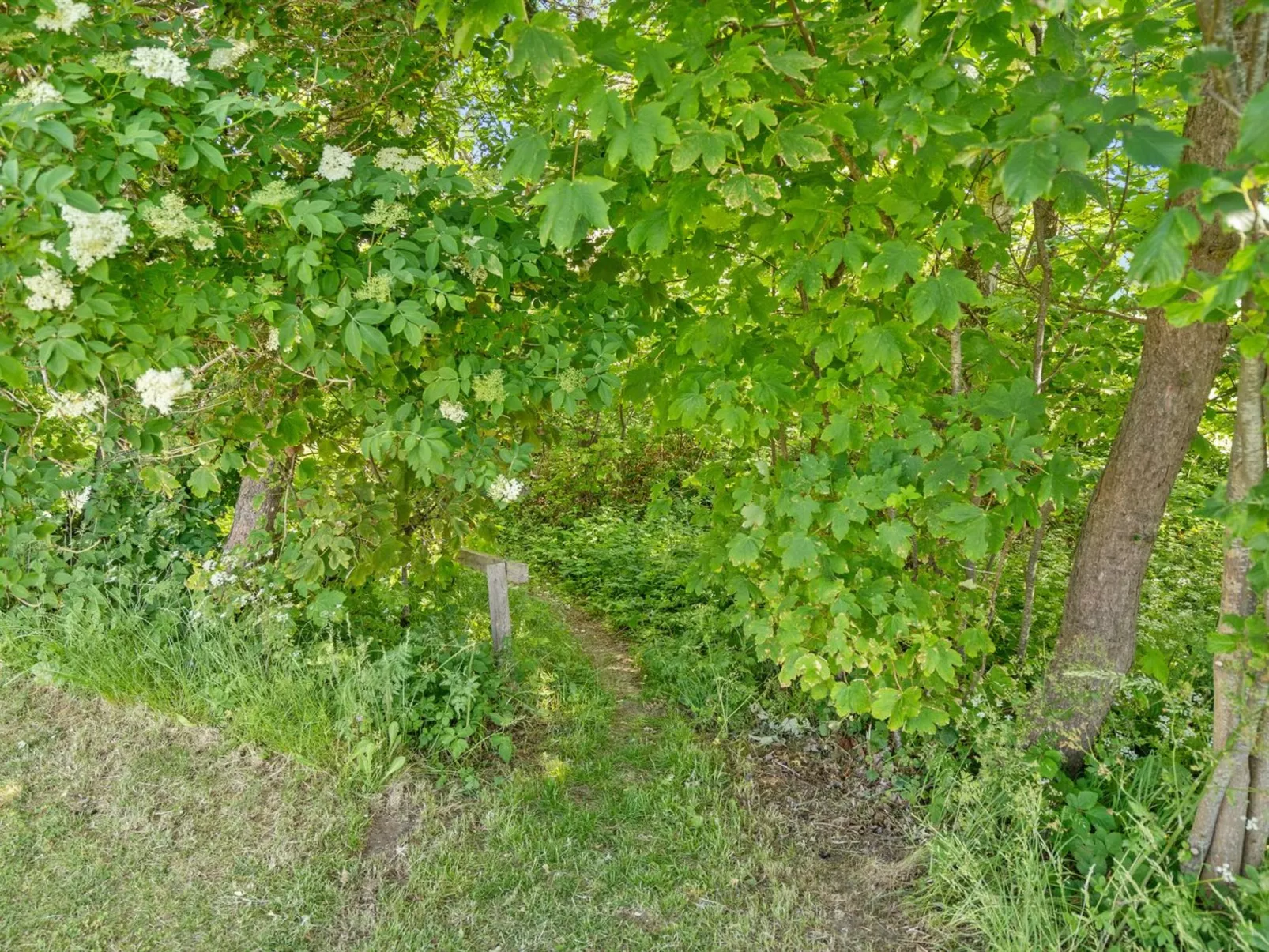 "Dvonta" - 170m from the sea-Outside