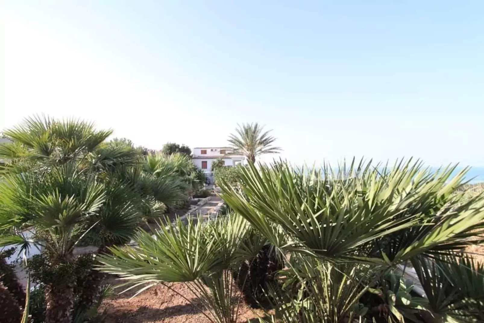 Apartments, Castelvetrano-Trilo Antica Sicilia-View summer