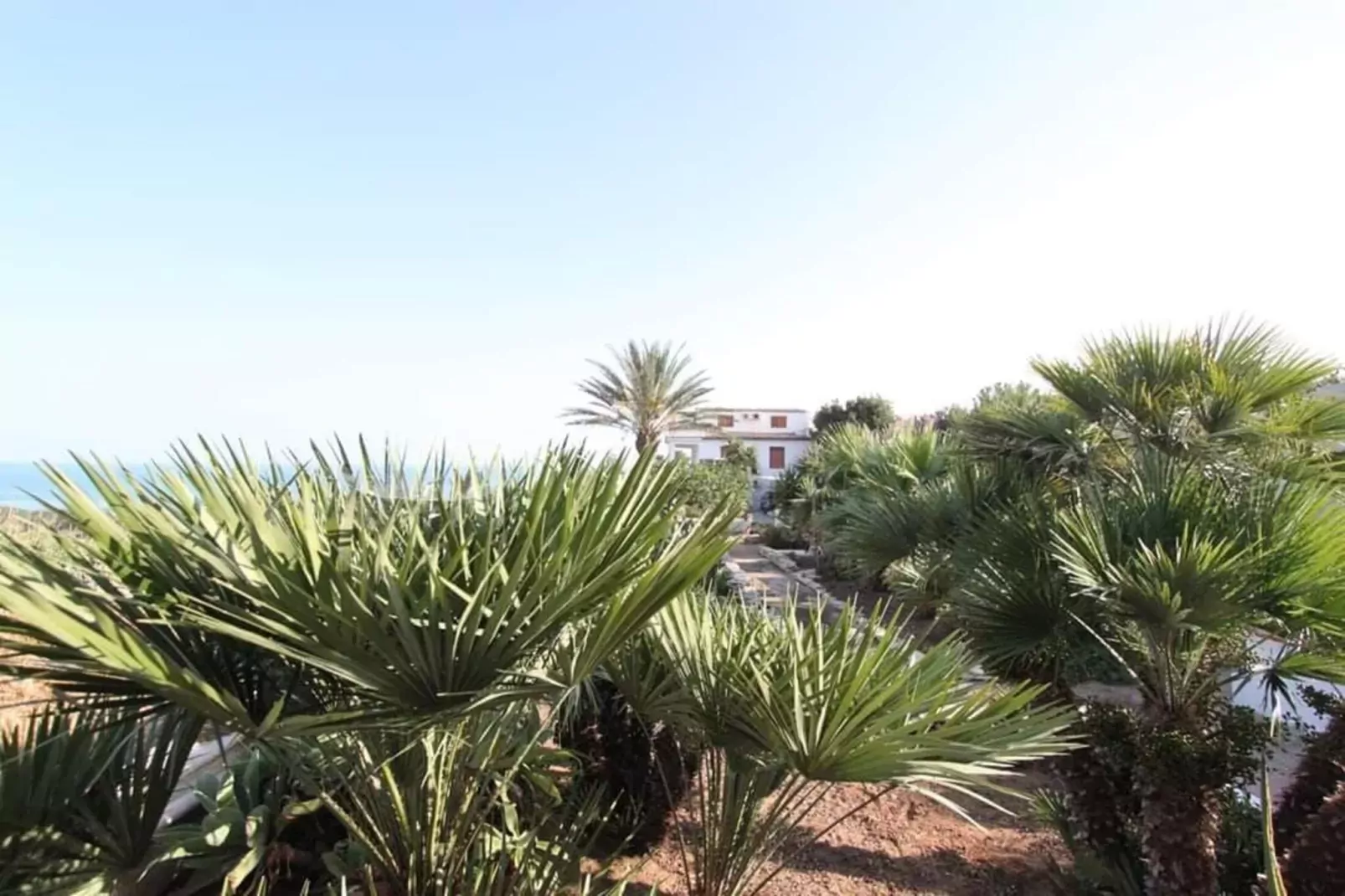 Apartments, Castelvetrano-Trilo Antica Sicilia-View summer
