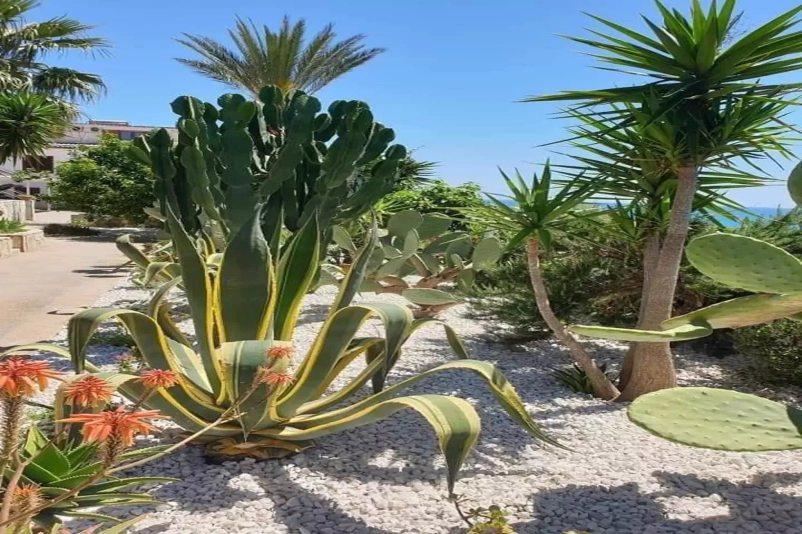 Apartments, Castelvetrano-Trilo Antica Sicilia-Areas summer 1km