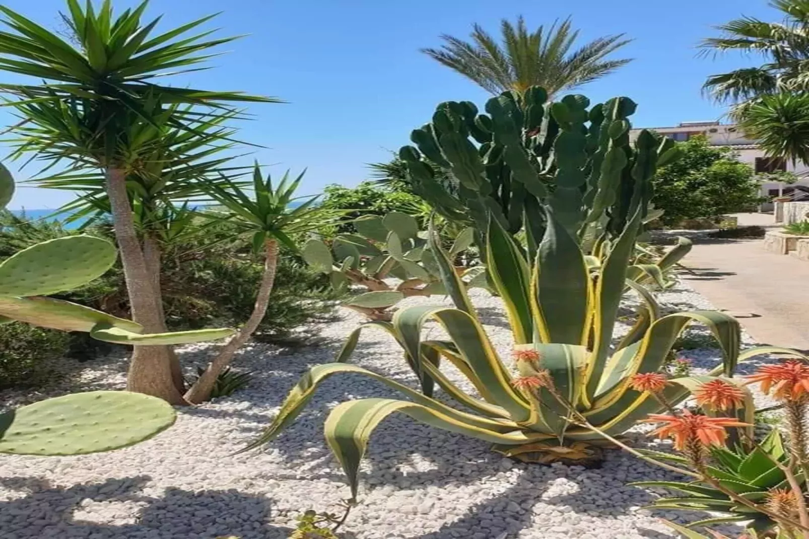 Apartments, Castelvetrano-Trilo Antica Sicilia-Areas summer 1km