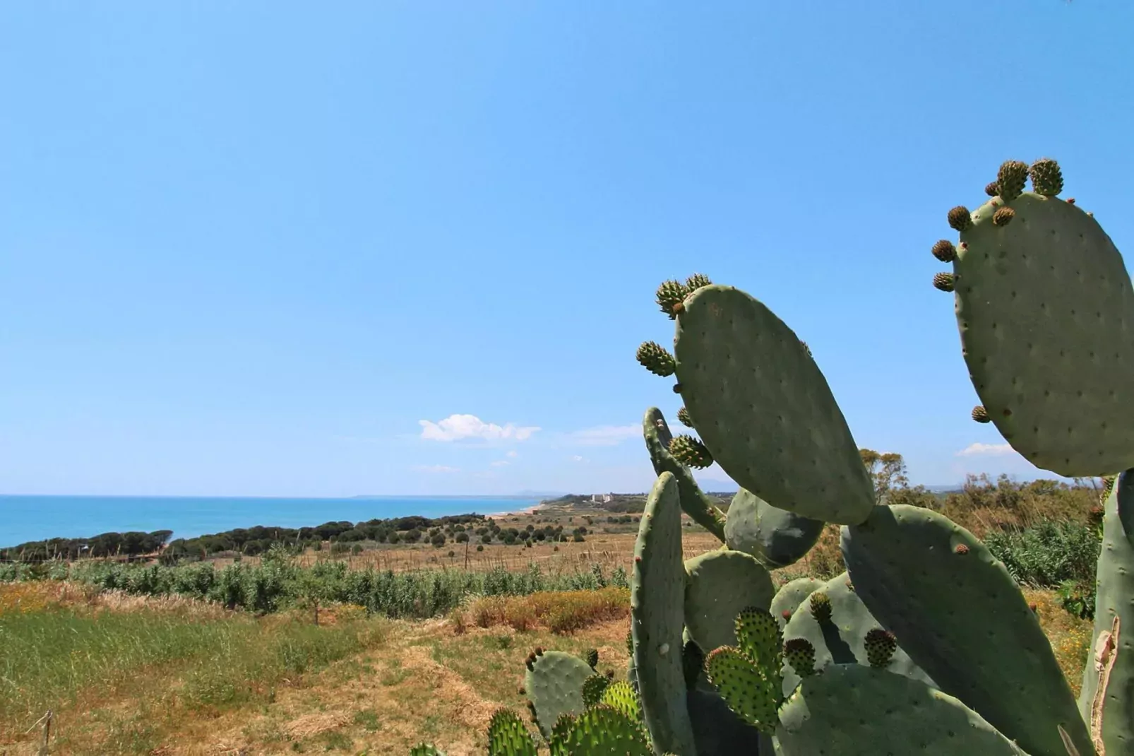 Apartments, Castelvetrano-Il Faro-Areas summer 5km