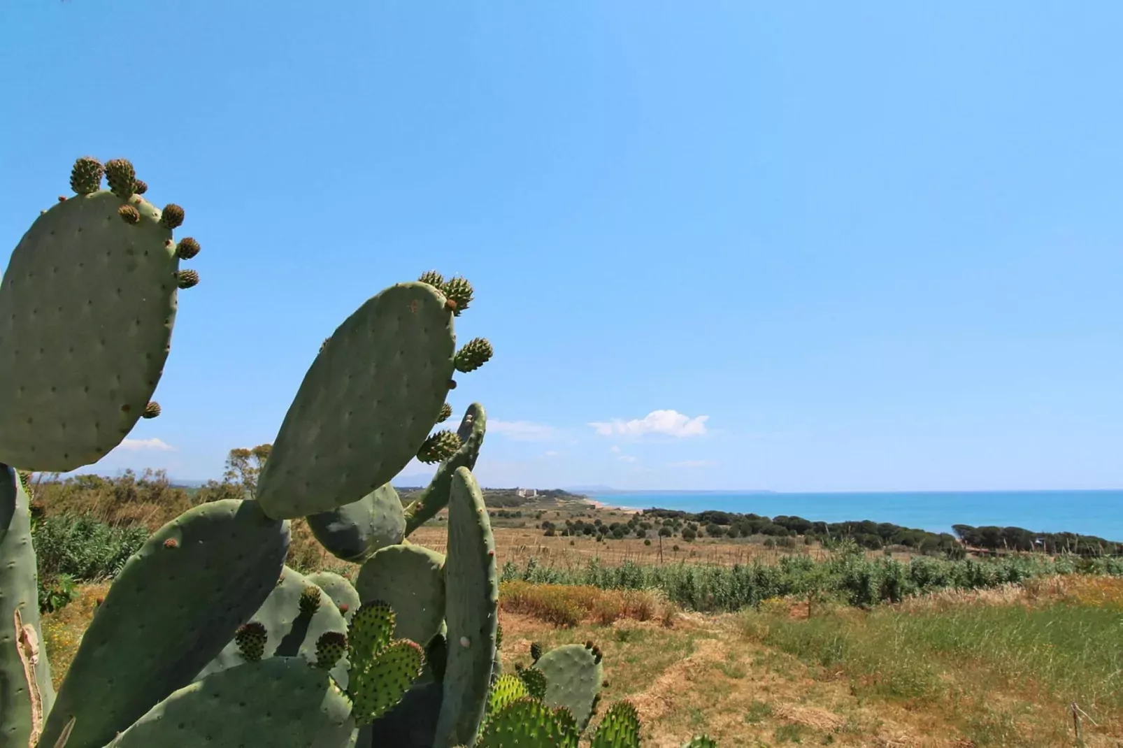 Apartments, Castelvetrano-Trilo La Rosa dei Venti-View