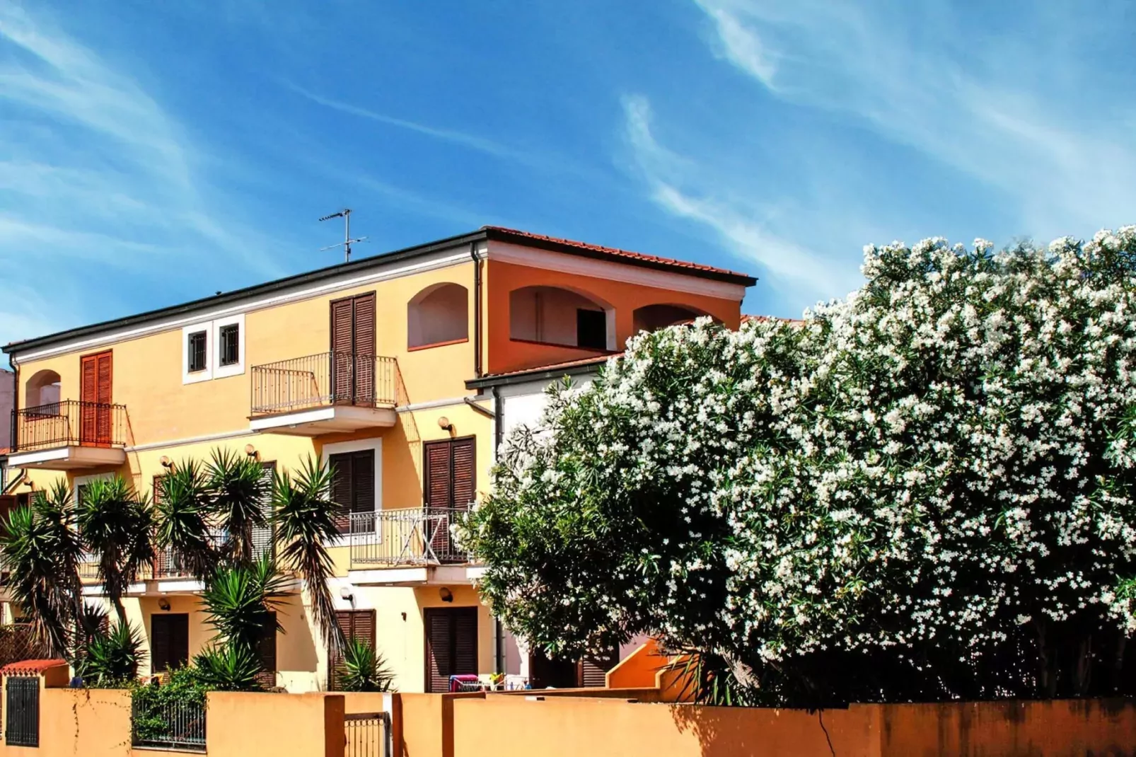 Residence La Pavoncelle Santa Terese Gallura - Type Bilo 4-Exterior summer