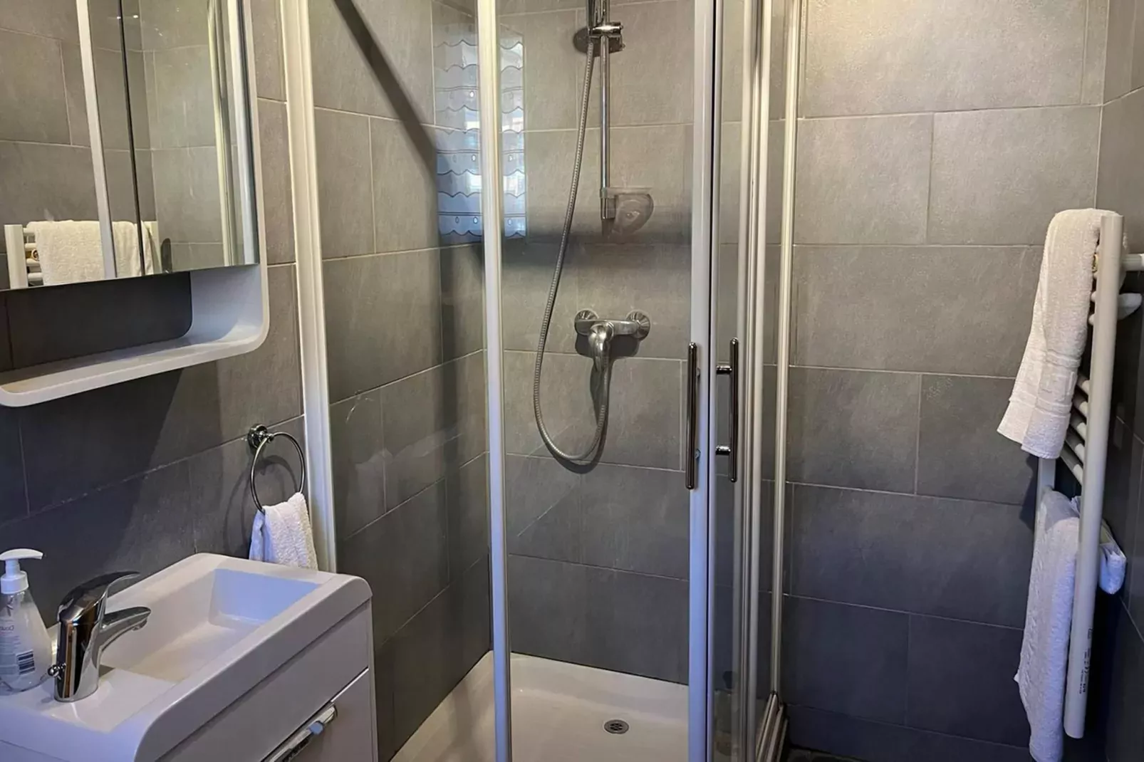 Chalet Erika-Bathroom
