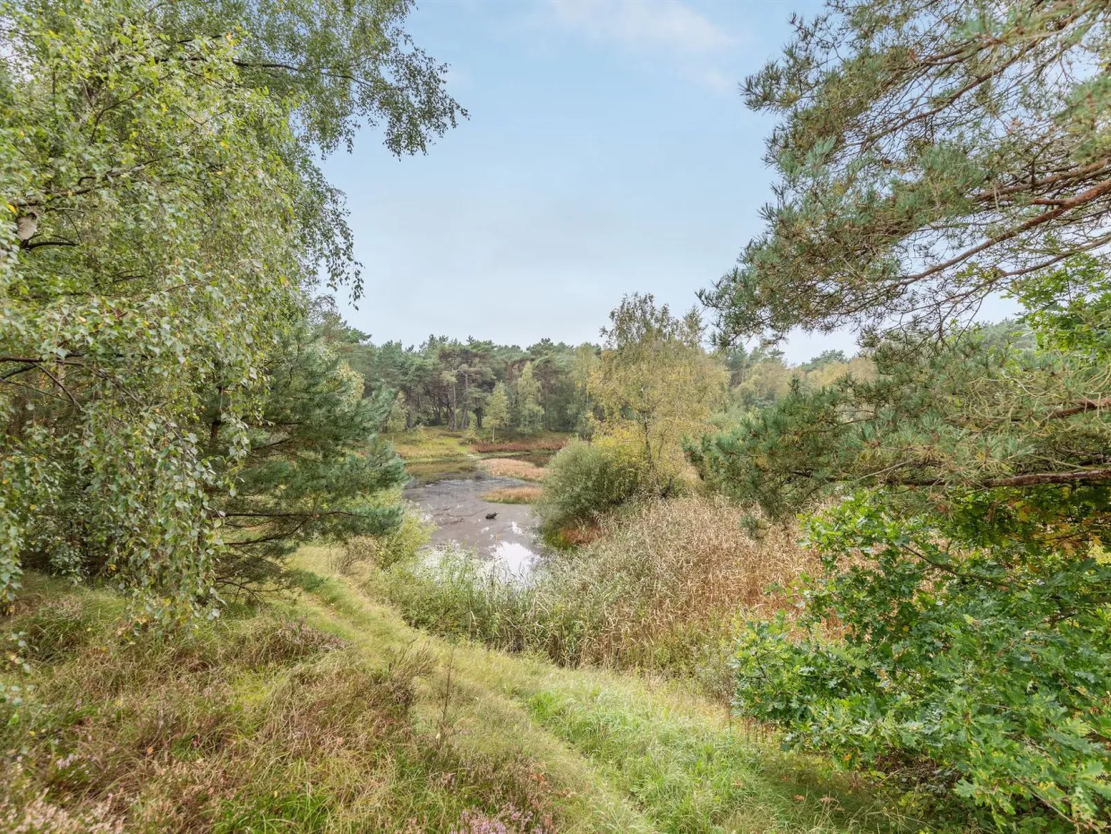 "Menke" - 150m from the sea-Inside
