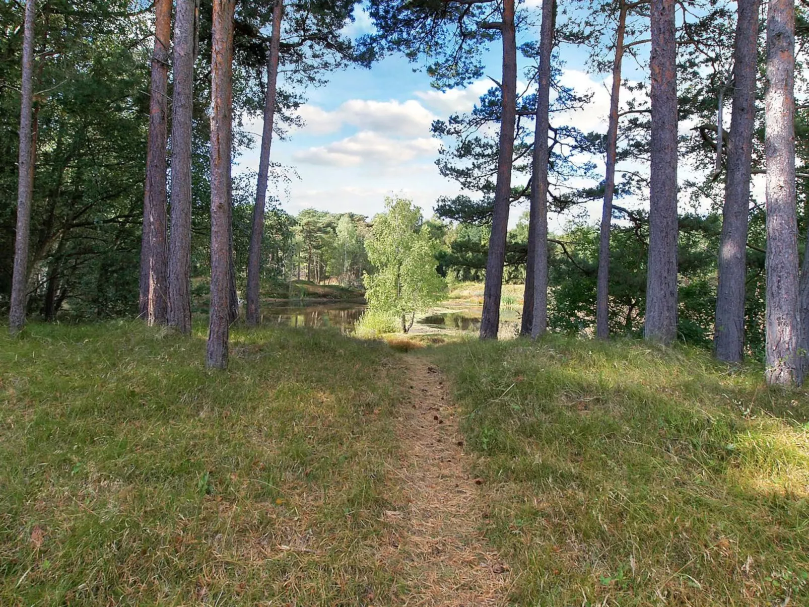 "Menke" - 150m from the sea-Inside