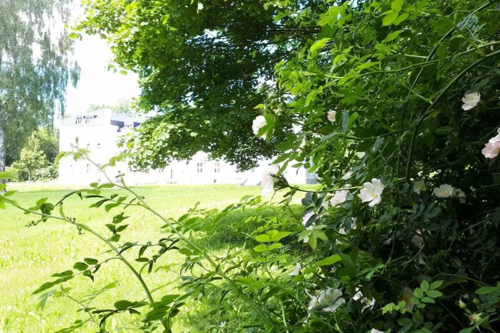396004-Gardens summer