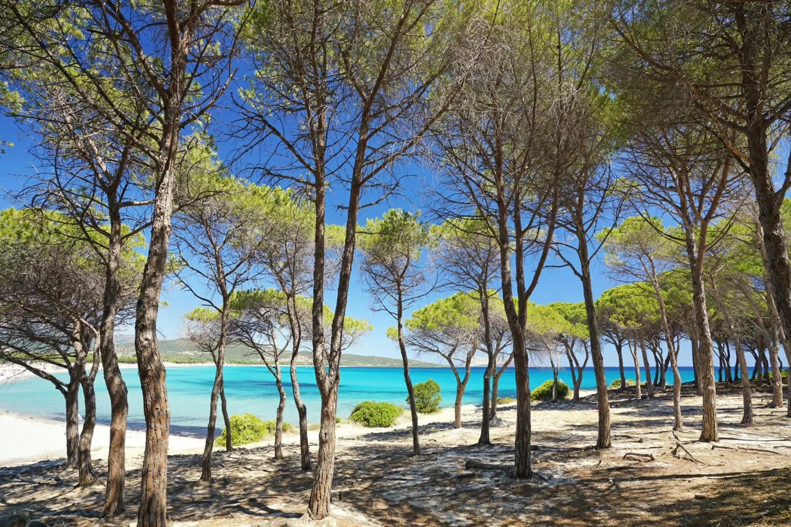 Residence Bouganvillage Tanaunella - Type Trilo 6-Areas summer 20km