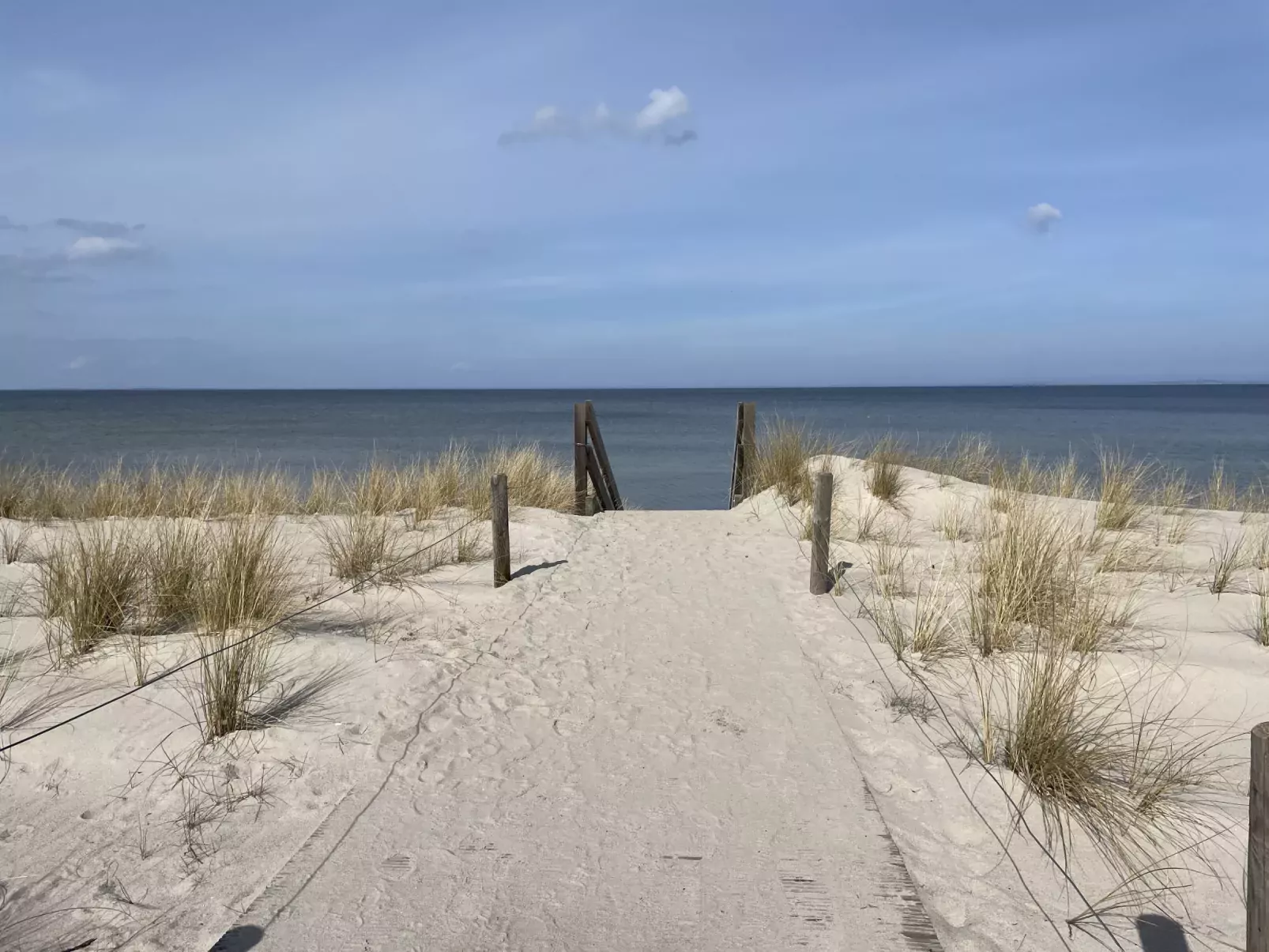 Am Walde-Area