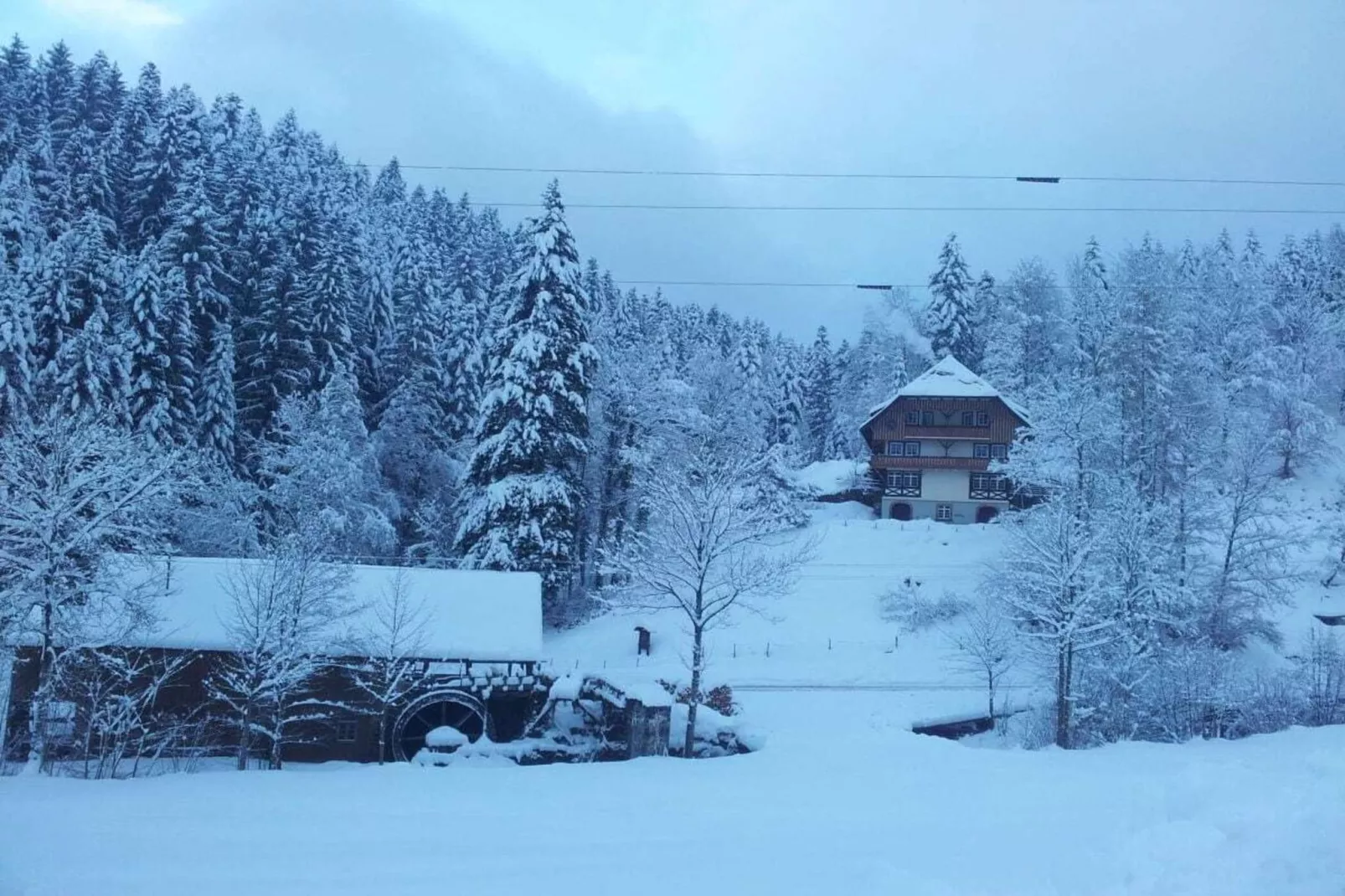 13614-Area winter 1km