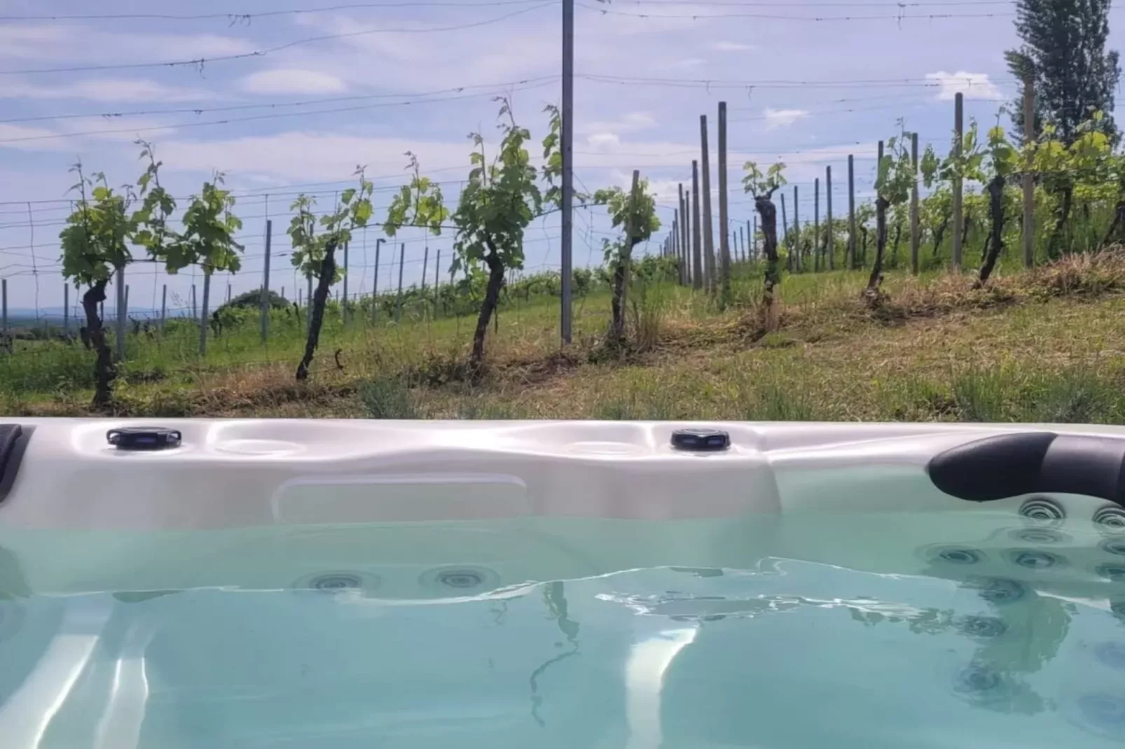 15332-Pool