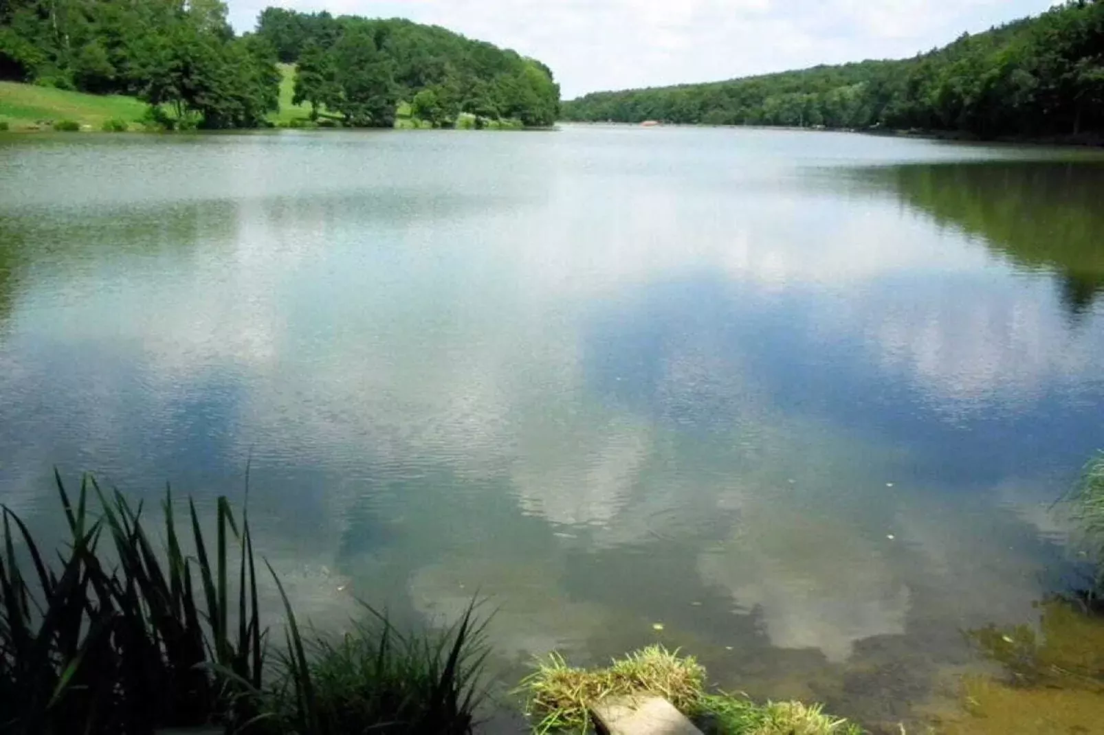 15332-Areas summer 5km