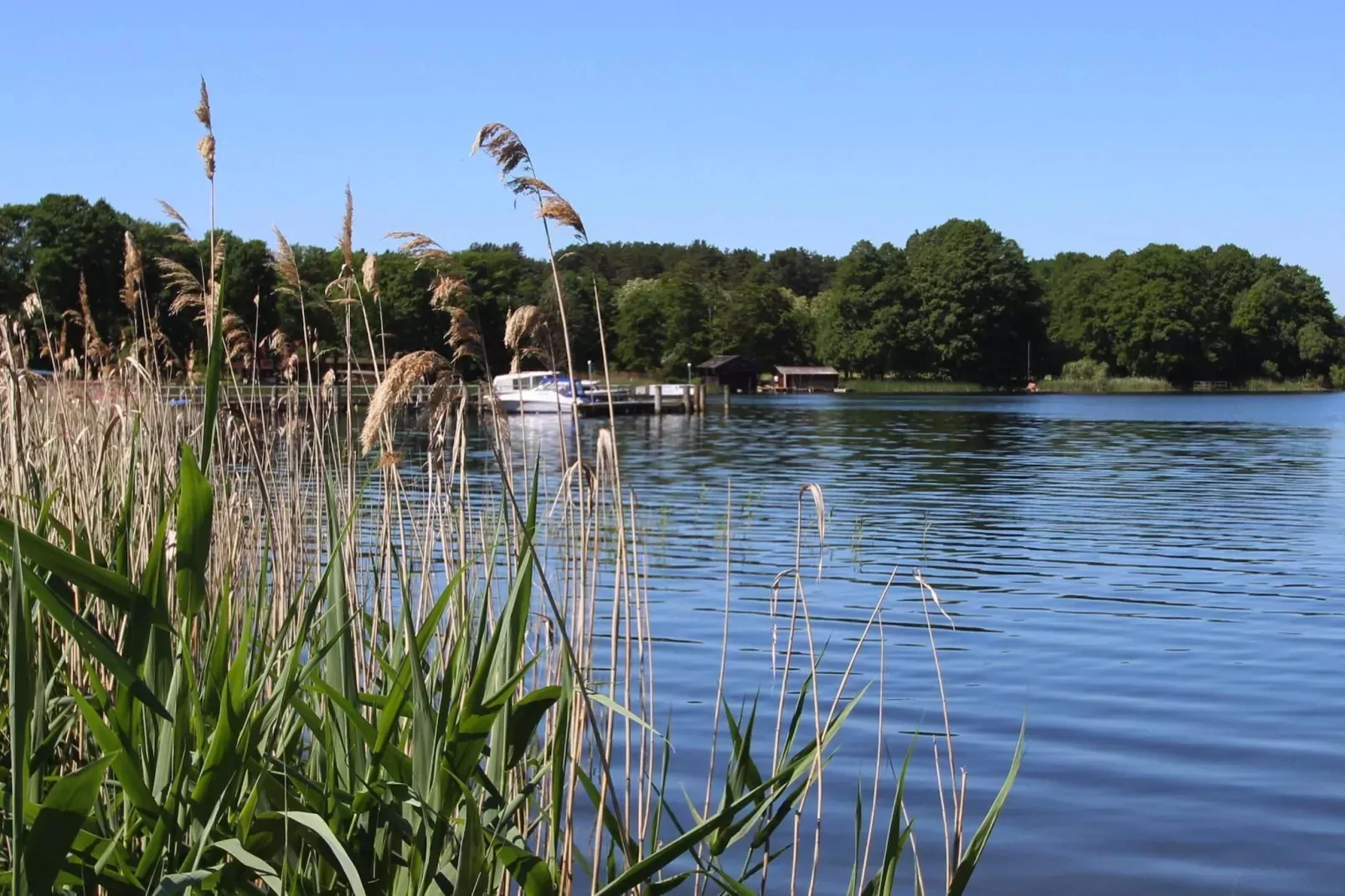 Bungalow 4 Rheinsberg-Areas summer 1km