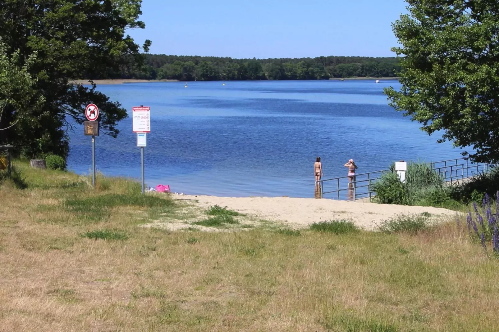 Bungalow 4 Rheinsberg-Areas summer 1km