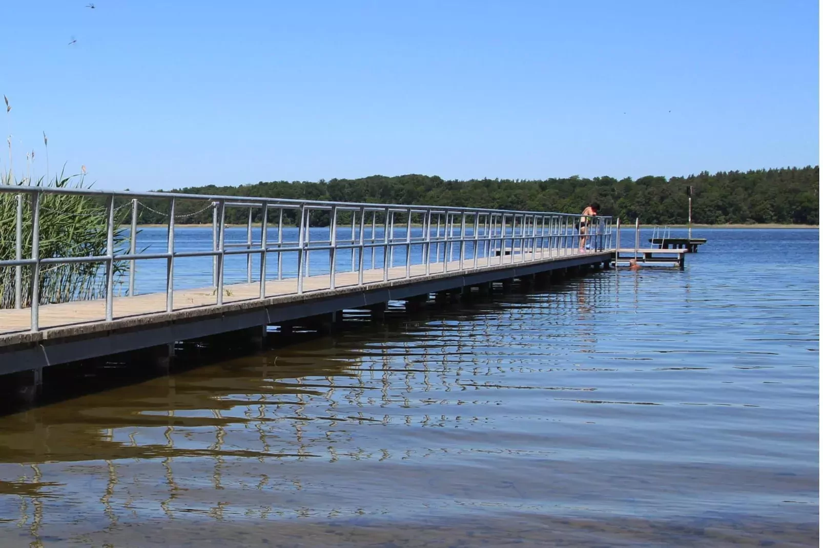 Bungalow 4 Rheinsberg-Areas summer 1km