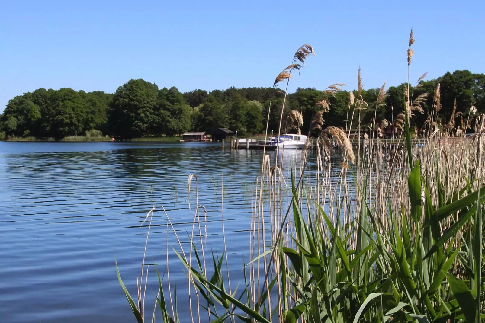 Bungalow 4 Rheinsberg-Areas summer 1km