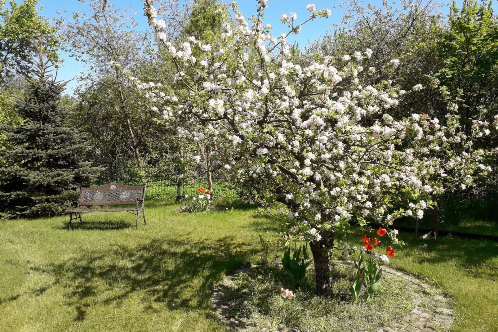 Fewo 12-Gardens summer