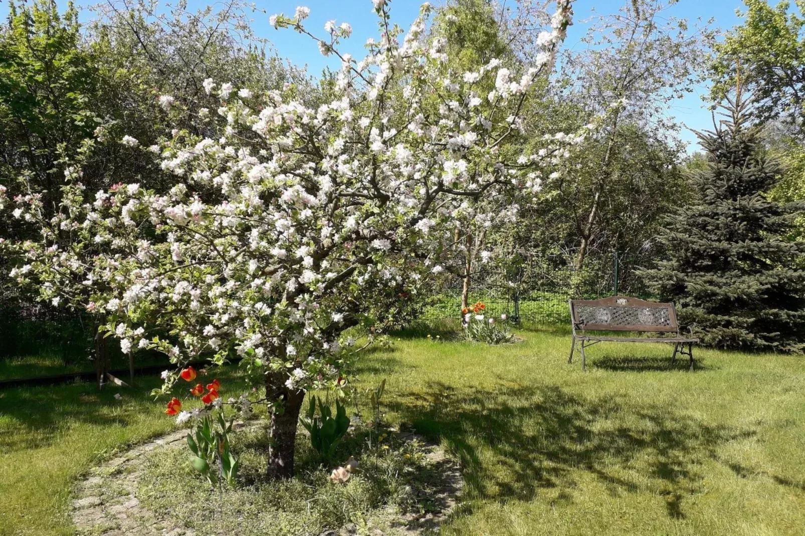 Fewo 12-Gardens summer