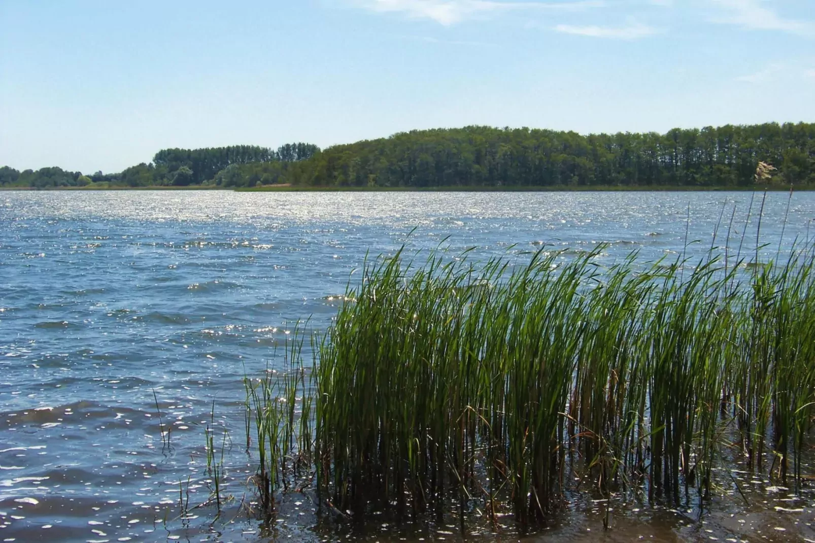 Reihenhaus groß 8 Personen-Areas summer 5km