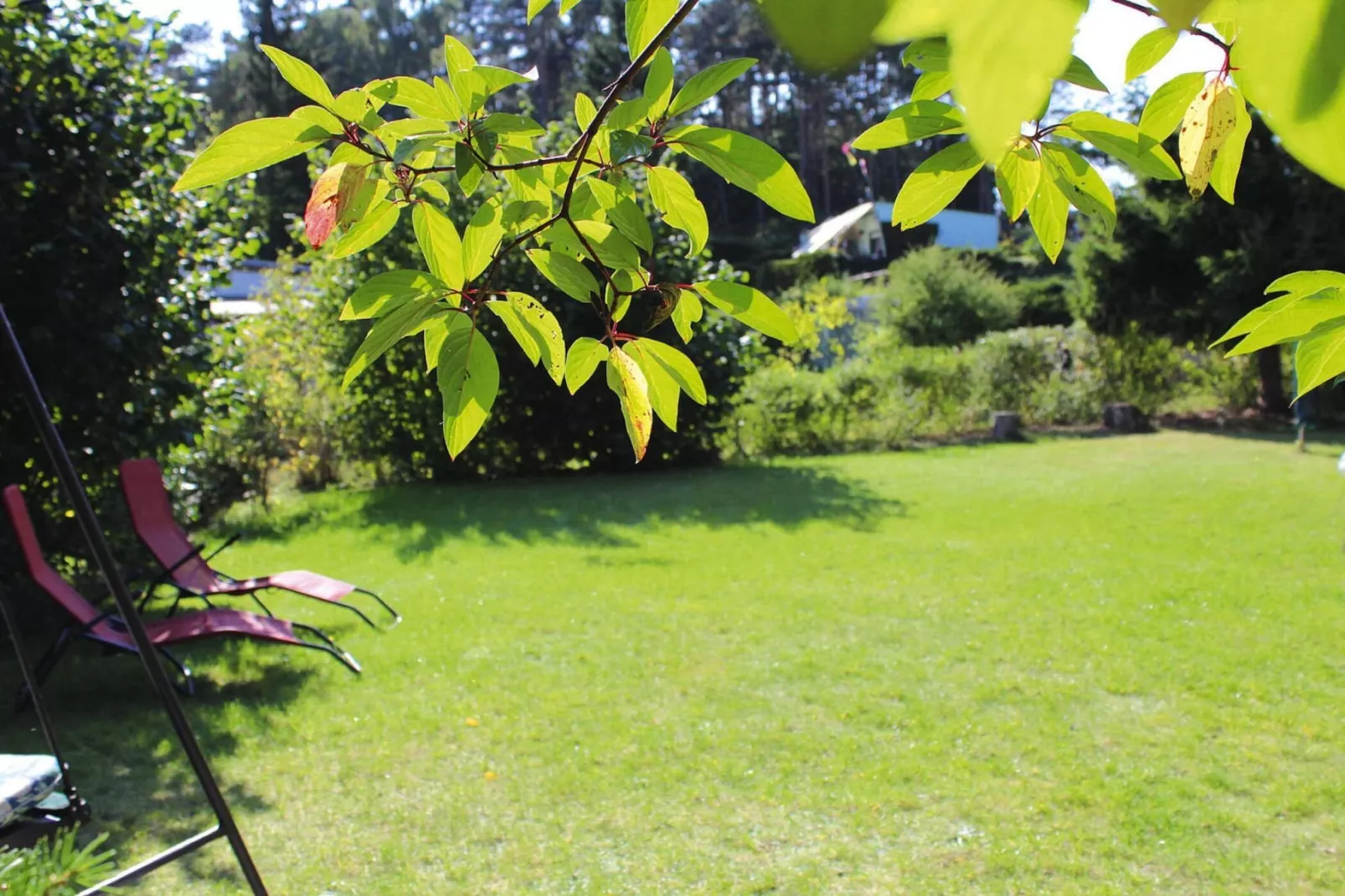 Doppelbungalow in Twietfort-Gardens summer