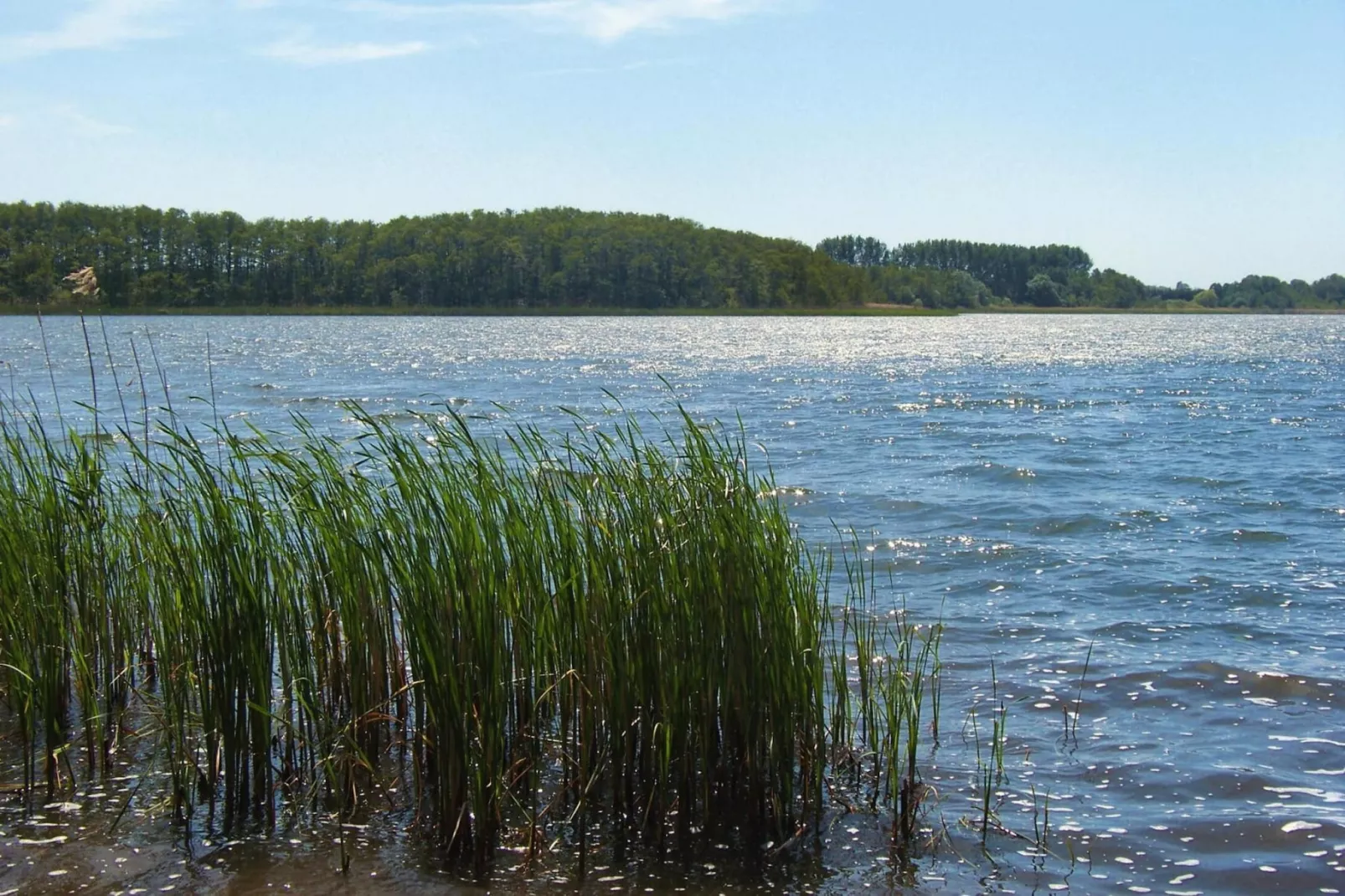 DHH 40 qm-Areas summer 5km