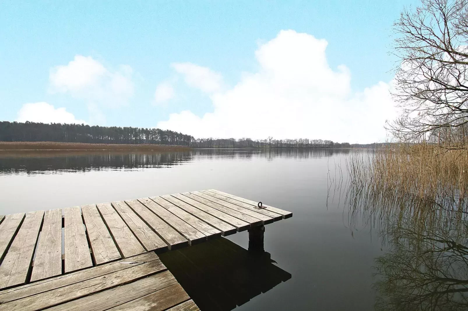 Ferienhaus Seeadler 62 qm-Areas summer 1km