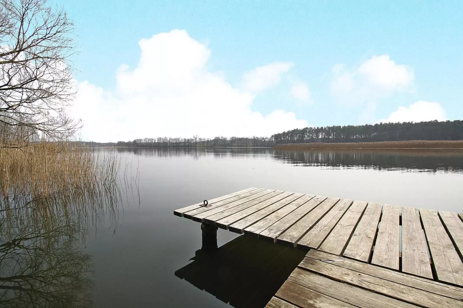 Ferienhaus Seeadler 62 qm-Areas summer 1km
