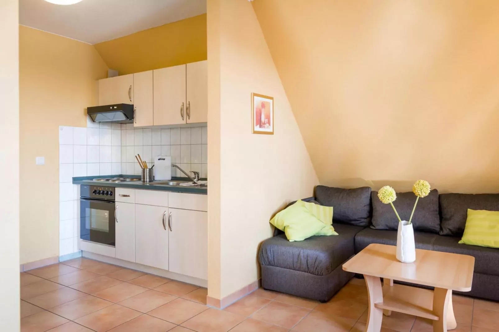 Müritz 45 qm-Kitchen