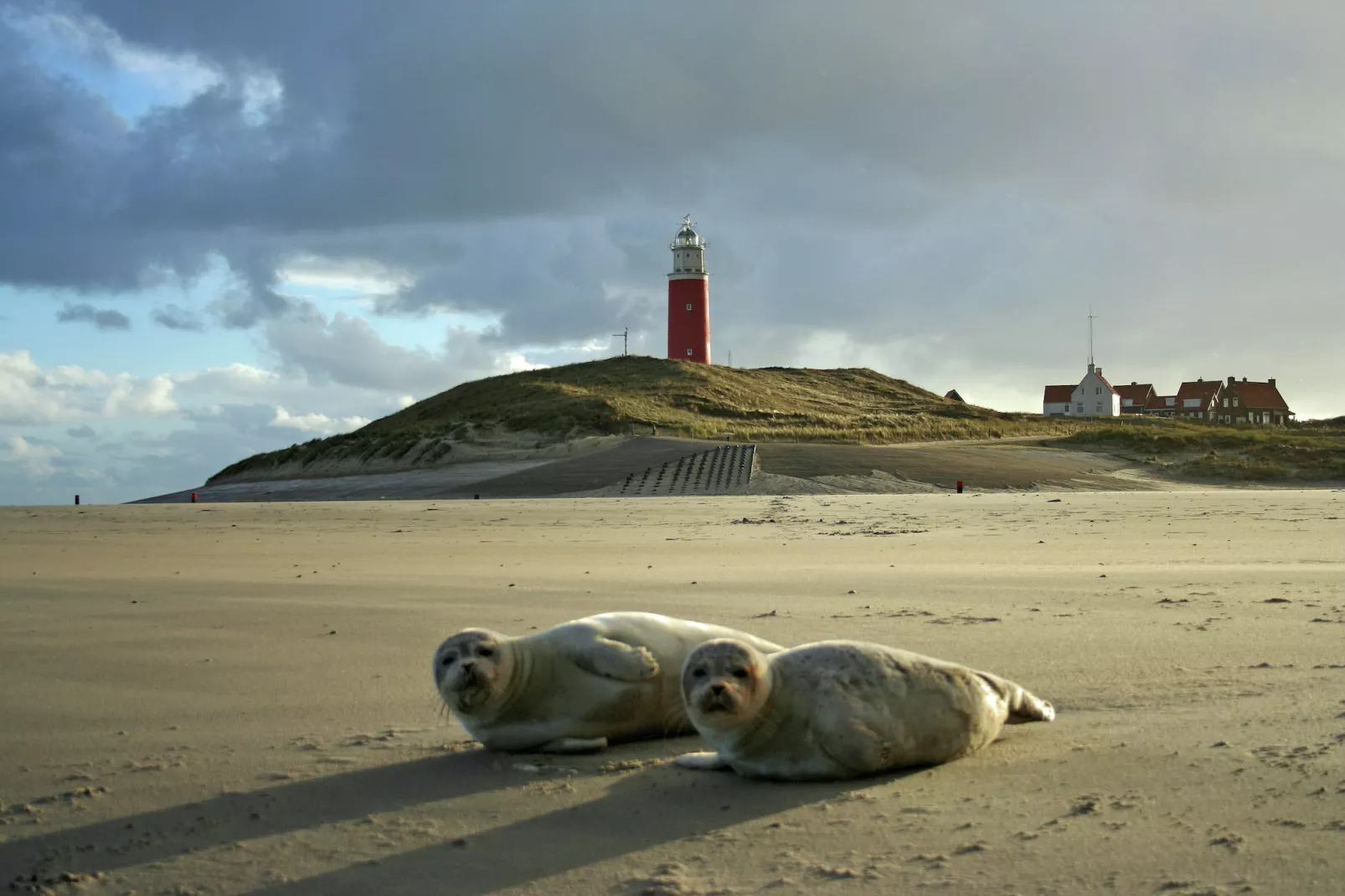 't Hoogelandt 2-Areas summer 5km