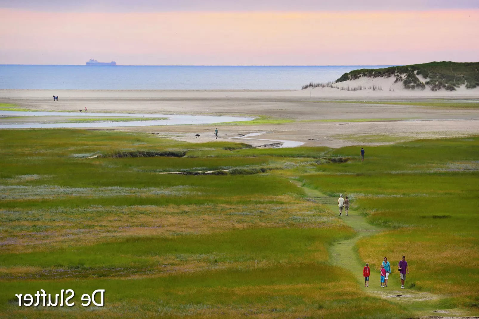 't Hoogelandt 1-Areas summer 5km