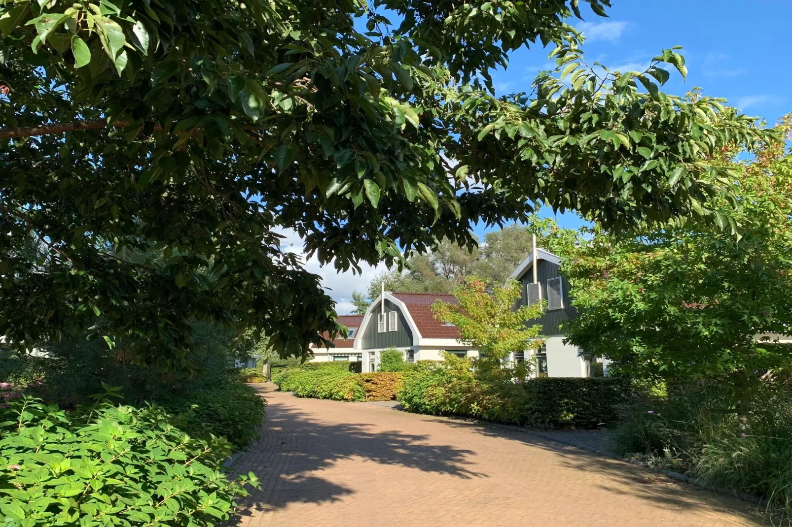 Resort Koningshof 1-Areas summer 1km