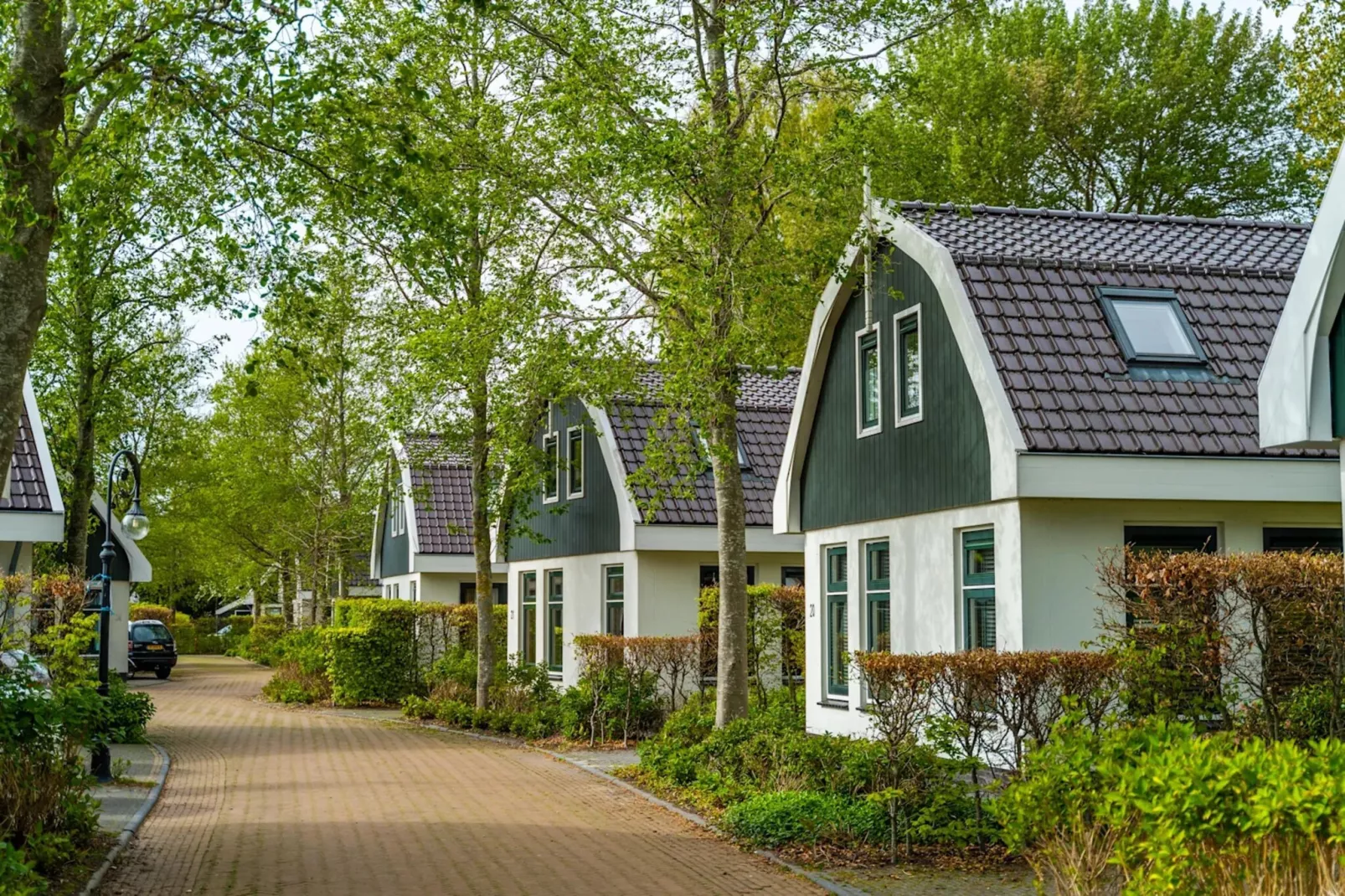 Resort Koningshof 2-Park facilities