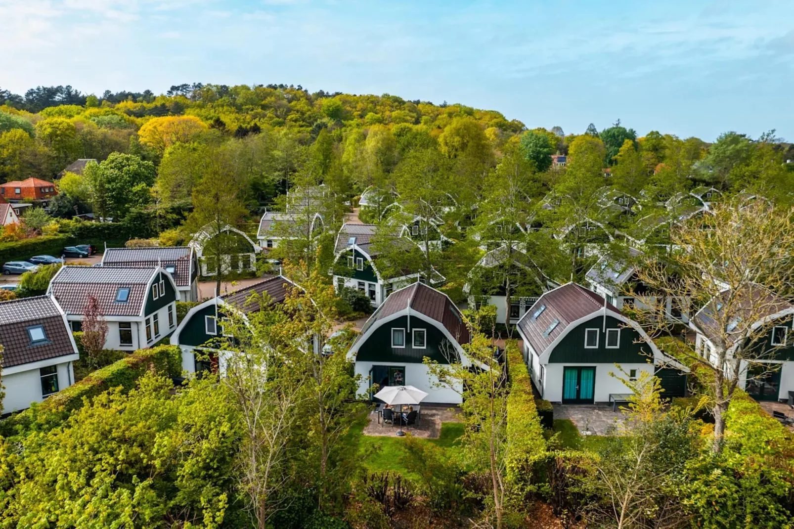 Resort Koningshof 2-Park facilities